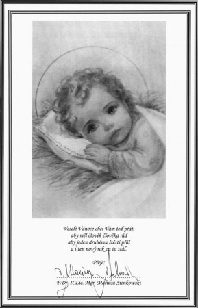 Vánoční přání 2013